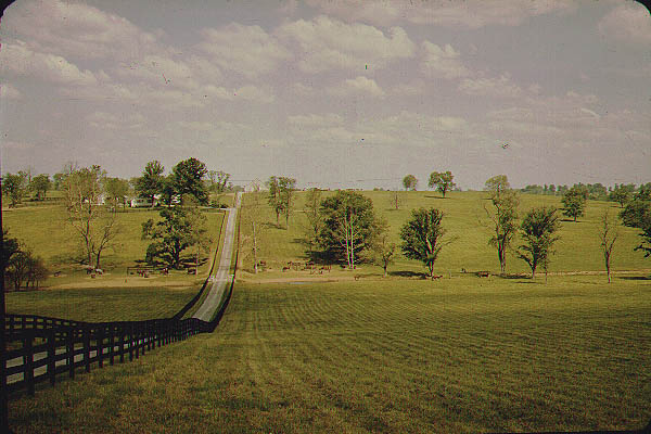 Countryside2-1966