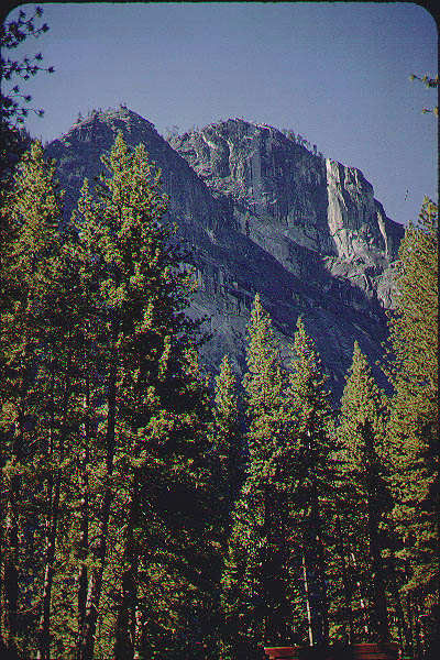 Brice_Zion_Sequoia13_Jun59