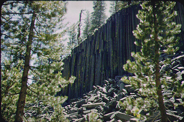 Brice_Zion_Sequoia24_Jun59