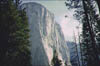 Brice_Zion_Sequoia5_Jun59