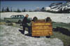 Logan-Pass-Montana-July59