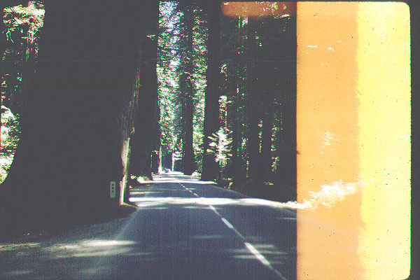 Yosemite20-Jun59