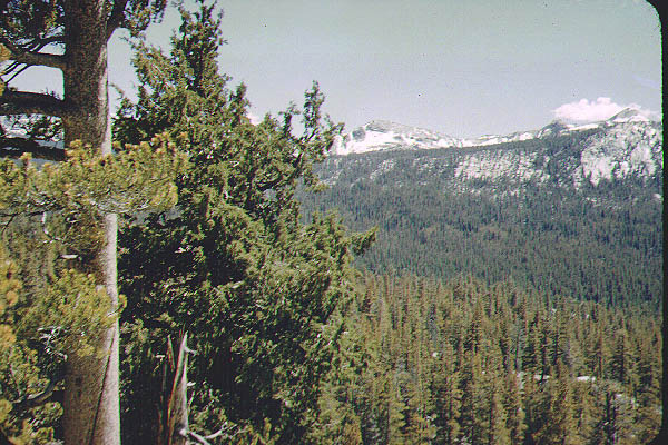 Yosemite5-Jun59